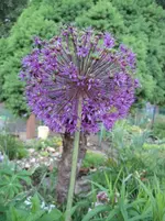 IMG_1373.webp