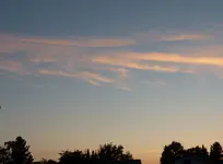 P1030898.webp