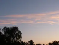 P1030896.webp