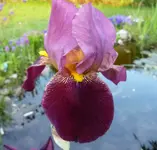 P1030883.webp