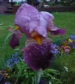 P1030879.webp