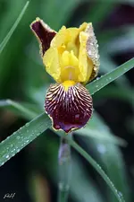 blog_7645.webp