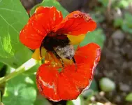 April 2010 396av.webp