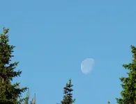 P1030899.webp