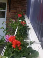 HPIM4542.webp