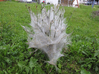 IMG_5161_1.webp