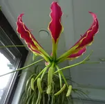 P1030919.webp