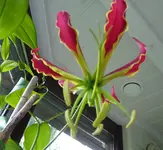 P1030917.webp