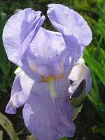IMG_5537_576x768.webp