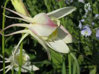 IMG_5557_1024x768.webp