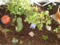 terrassenbeet2.webp