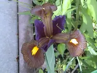 DSC000l36.webp