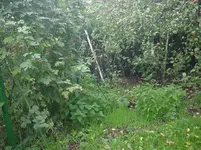 DSC01765.webp