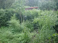 DSC01766.webp