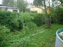 DSC01767.webp