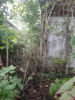 DSC01770.webp