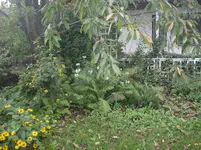 DSC01774.webp