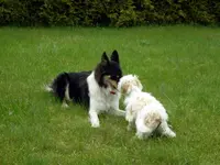 SDC11043.webp
