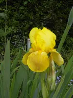 SDC11141.webp