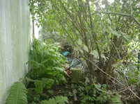 DSC01779.webp