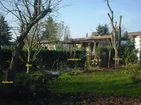 DSC01852.webp