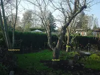 DSC01853.webp