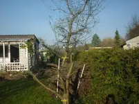 DSC01854.webp