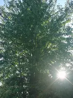 DSC01782.webp