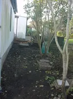 DSC01871.webp