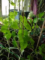 DSC02023.webp