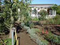 DSC02221.webp