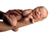 Handvoll Baby.webp