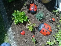 marienkaefer4.webp