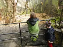 IMGP2554.webp