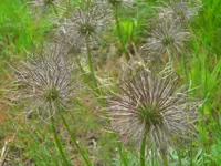 CIMG9694.webp