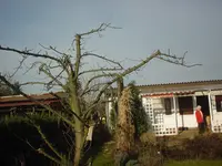 DSC02985.webp