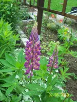 100_2465.webp
