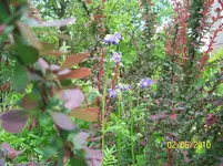 100_2468.webp