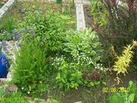 100_2469.webp