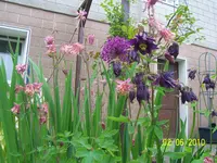 100_2472.webp