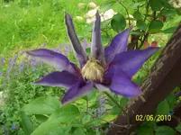 100_2473.webp