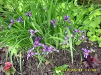 JD500172.webp