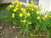 JD500173.webp