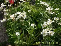 JD500112.webp