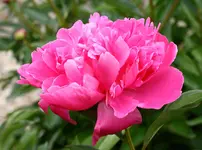 IMG_1779.webp