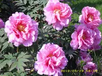 Test 1762.webp