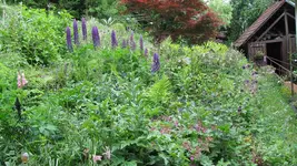 unteresbeet.webp