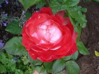 DSC03221.webp