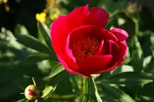 DSC03023.webp