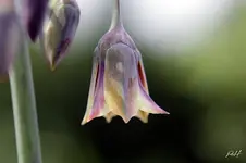 blog_7527.webp